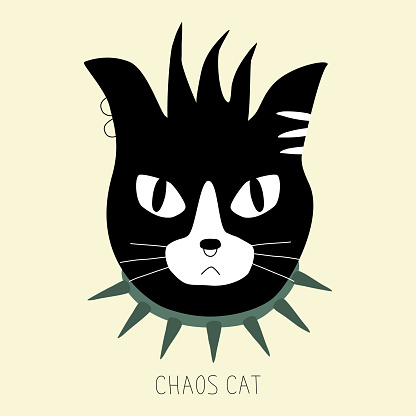 Black and white punk cat with collar. Head of angry black cat with punk hair. 