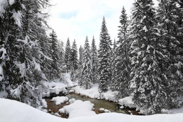 istock CORTINA D'AMPEZZO DOLOMITES ITALY 1295784756