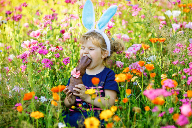 çiçekler çayır çikolata tavşan figürü yeme paskalya tavşan kulakları ile sevimli, sevimli yürümeye başlayan kız portresi. renkli çiçekler, açık havada güneşli günde gülümseyen mutlu bebek çocuk - ostern stok fotoğraflar ve resimler