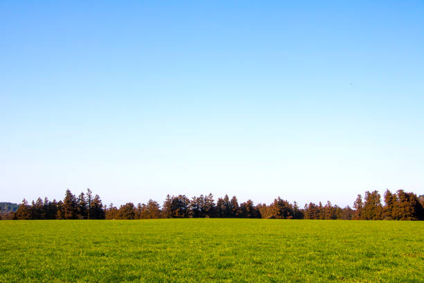 istock Jeju Island Scenic Area in January 1295786867
