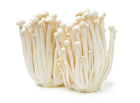 White beech mushrooms on white background