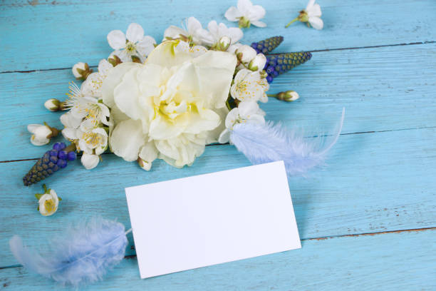 Spring Flowers composition on blue board, empty card. Spring template. Flat lay, top view, copy space. Template for Mother's day, women's day, 8 march, birthday, easter, wedding invitation composición de flores de primavera en tablero azul, tarjeta vacía. plantilla de primavera. plano, vista superior, espacio de copia. plantilla para el día de la madre, día de la mujer, 8 de marzo, cumpleaños, pascua, invitación de la boda