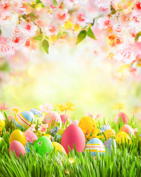 easter concept - easter egg easter grass spring imagens e fotografias de stock