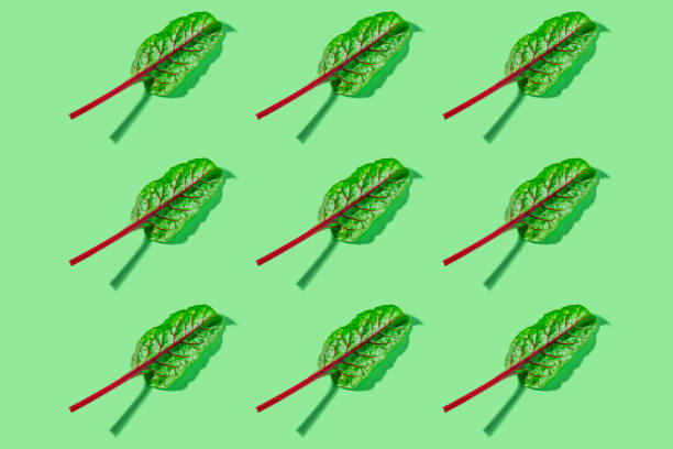 istock Red chard leaf macro raw pattern rhythm in a row on green mint leaf color background 1295791501