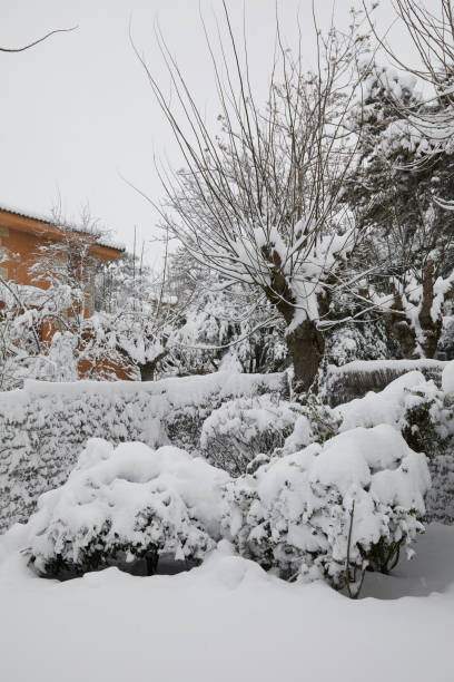 istock Snowstorm in Madrid, Spain 1295791984