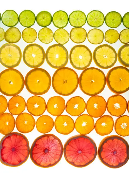 Citrus fruits arrangement in a row like grapefruit, oranges, tangerine, lemon, lime, clementine on white background with transparency