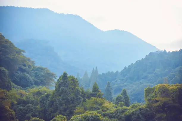 Mountains and hills covered with dense forest in the vicinity of the Japanese city of Beppu on the island of Kyushu.