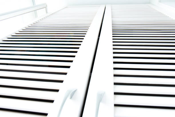 Contrasting shadows on classic white louvered doors. Wooden doors