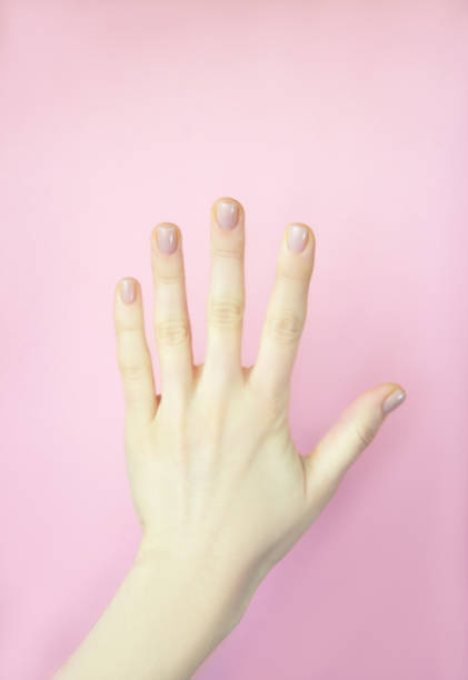 istock Female hand isolated on pink background 1295796209