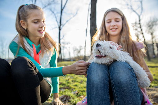 Teenager twin sisters at the park, holding their white puppy, Curly Bichone