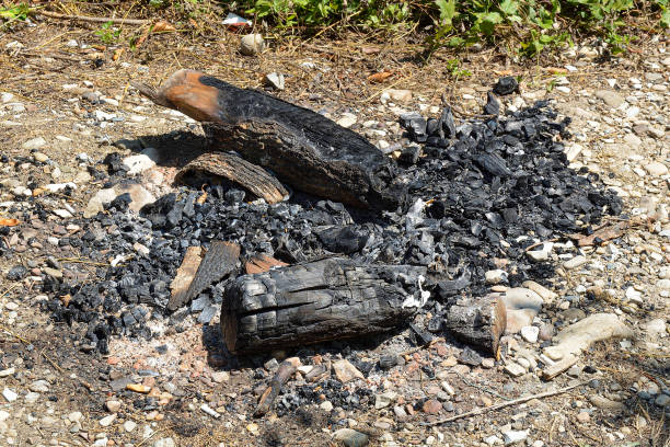 istock Embers of an extinct fire on a sea pebble beach 1295796869