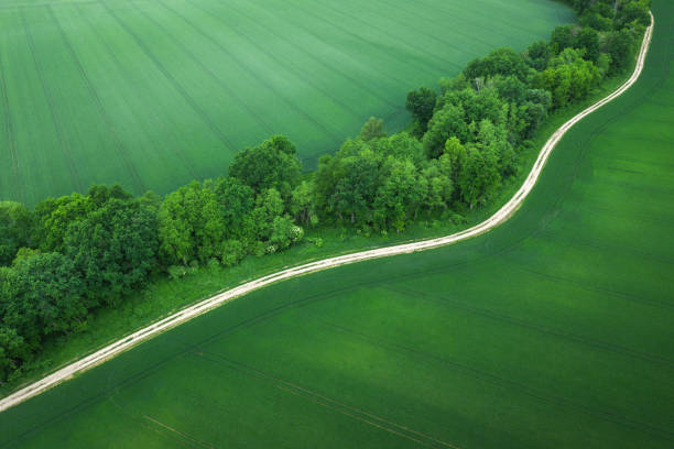 그린 필드 - footpath single lane road road farm 뉴스 사진 이미지