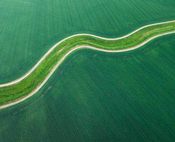 밀필드 - footpath single lane road road farm 뉴스 사진 이미지