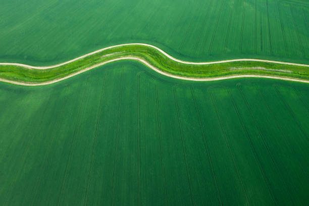 istock Aerial View On Green Field 1295797327