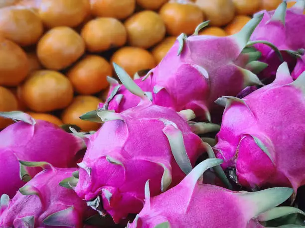 Pile of Dragon Fruits Against Blurred Persimmons Background