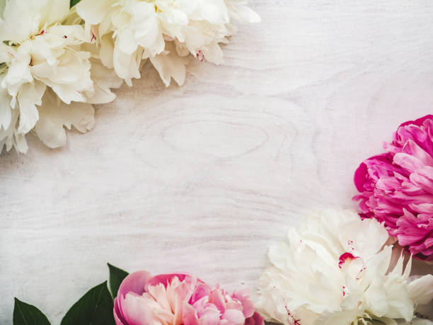 istock Bright flowers and a place for the inscription 1295798864