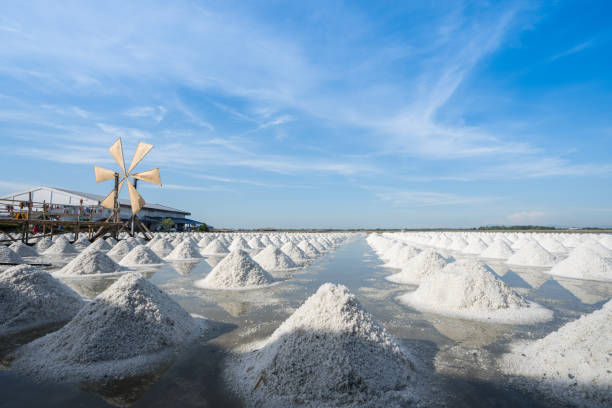 salt farm under clear sky at   sunny day