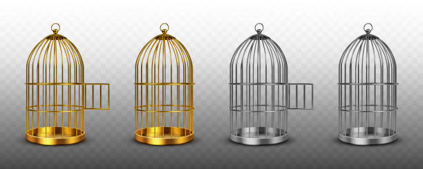 vogelkäfige, vintage leere vogelkäfige isoliert set - birdcage stock-grafiken, -clipart, -cartoons und -symbole