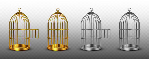 Bird cages, vintage empty birdcages isolated set Bird cages, vintage empty birdcages of golden and silver colors, metal jails with open and closed doors isolated on transparent background. Steel and gold traps, realistic 3d vector illustration, set birdcage stock illustrations