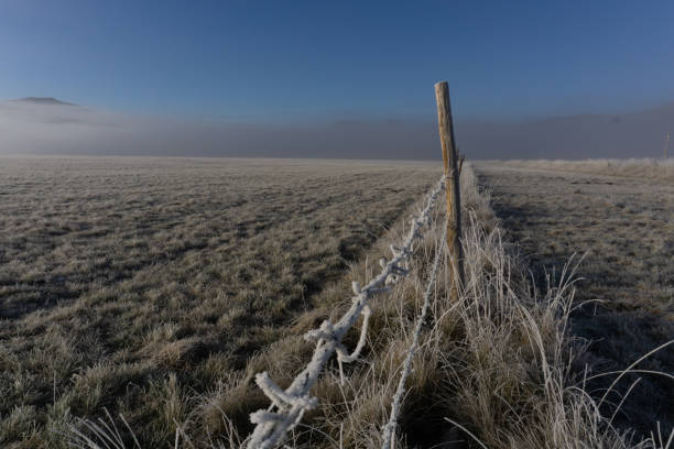 istock Fence in Italian plateau 1295803005