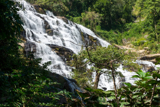 istock Waterfall and forest at Chiang Mai, Thailand Nov 2020. 1295803095