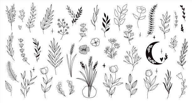 귀여운 트렌디 한 신비한 스타일의 세트는 꽃, 가지, 잎을 그린. 스토리 하이라이트, 인사말 카드 또는 초대 amd 로고 디자인에 대한 벡터 라인 배열 - 꽃 식물 stock illustrations