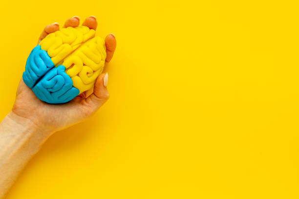istock Idea concept. Use your brain. Model of clay in the hand, top view 1295807185