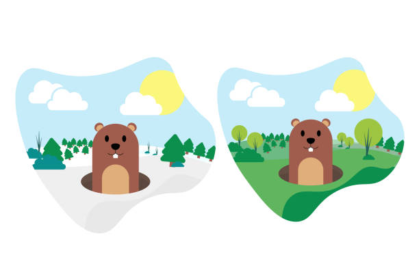 Happy Groundhog Day. 2 February. Holiday concept. Template for background, banner, card, poster. Vector EPS10 illustration. Happy Groundhog Day. 2 February. Holiday concept. Template for background, banner, card, poster. Vector EPS10 illustration groundhog stock illustrations
