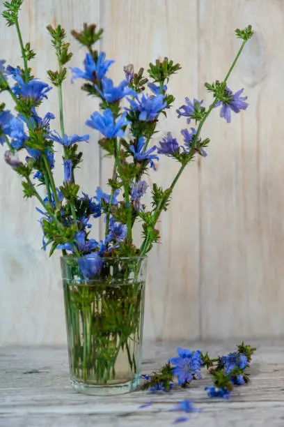 blue colored chicory bouquet in faceted glass