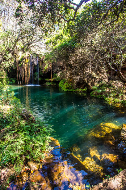 istock Clear hidden pool in the Kadishi River 1295809749