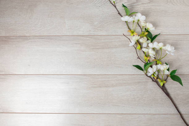 istock Concept of tree branch on wooden background 1295811506