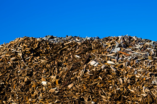 Pile of shredded wood chips