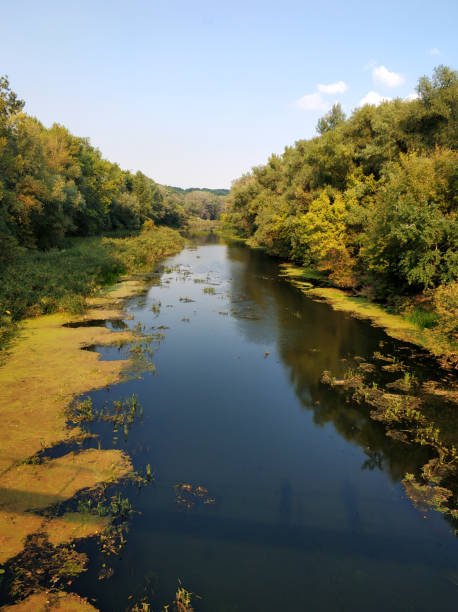 istock Natural landscape. A pond in a quiet secluded location 1295813442