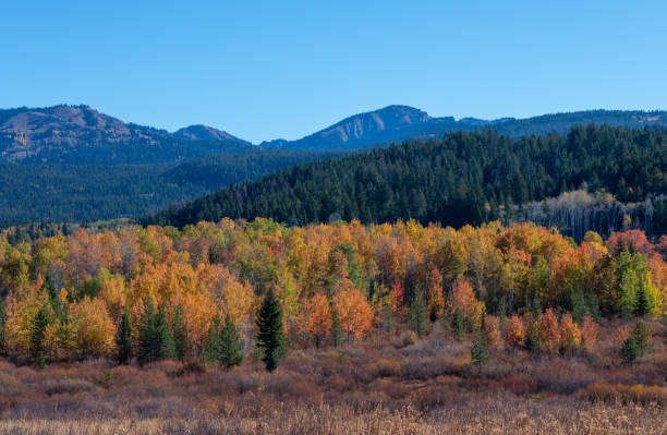 istock Scenic Autumn Landscape in the Tetons 1295813501