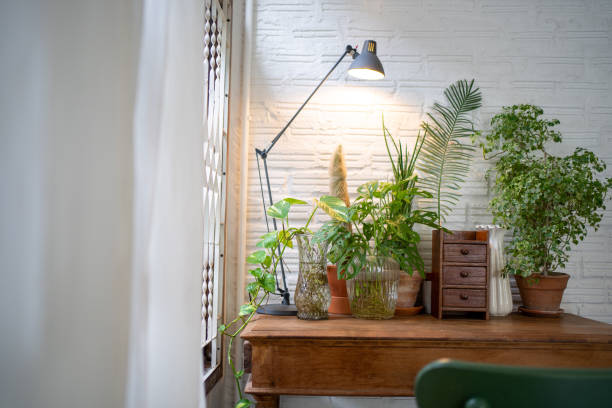 istock Home decor plants on the table near the window with a copy. 1295814870