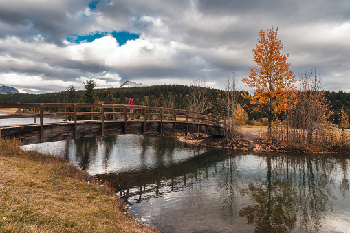 Traveler man crossing wooden bridge on lake in autumn forest at Cascade ponds, Banff national park, Canada