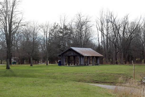 istock Wood Shelter in Grass Field 1295815399