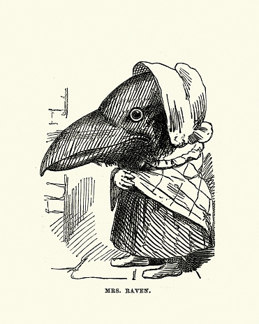 Vintage illustration of a Victorian comic anthropomorphism illustration by Charles H. Bennett, 1850s, 19th Century. Mrs Raven