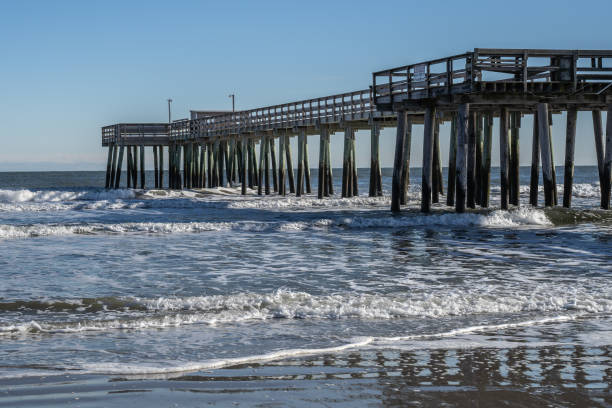 istock Fishing Pier, Avalon, New Jersey 1295816433