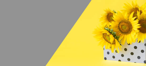 colore dell'anno 2021. giallo illuminante e grigio ultimate. sfondo giallo e grigio, banner web - pantone 2021 foto e immagini stock