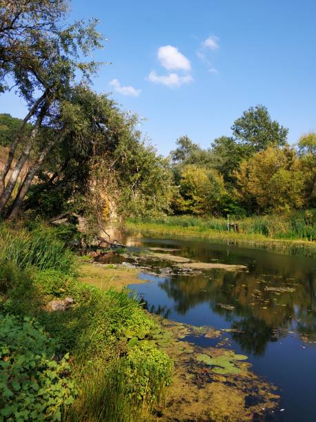 istock Natural landscape. A pond in a quiet secluded location 1295817829