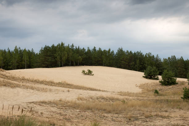 istock Sand dunes under a bright autumn sky 1295818736