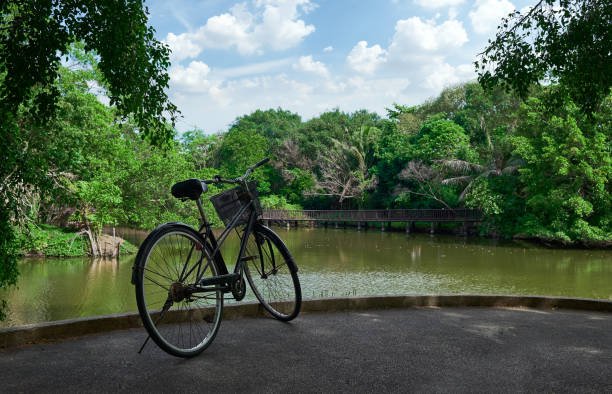 3D Rusty Old Vintage Bike Abandoned in Swamp.