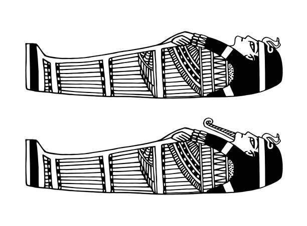 ilustraciones, imágenes clip art, dibujos animados e iconos de stock de sarcófago egipcio antiguo para el faraón decorado con un patrón tradicional - sarcófago
