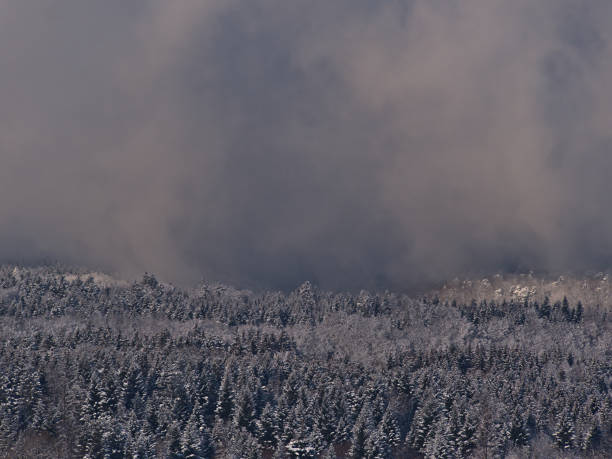 Photo of Stunning aerial view of forest in winter season with white pattern of mainly coniferous trees covered by snow and dramatic low clouds in the sky viewed from Kornbühl hill, Swabian Alb.