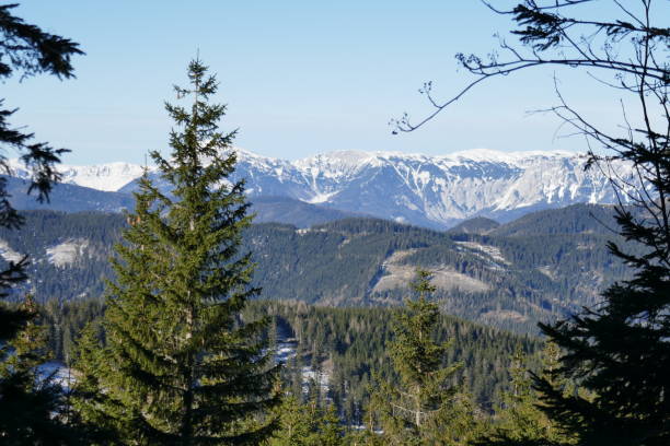 istock Winter hiking at Hochwechsel, Austria 1295823259