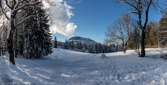 winter scenery in Styria, Austria