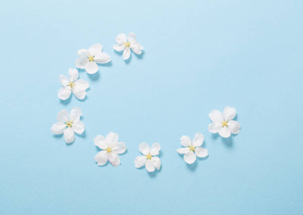 istock apple flowers on blue paper background 1295824641