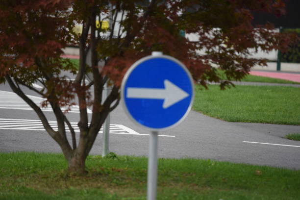 istock Direction sign in road traffic 1295826410