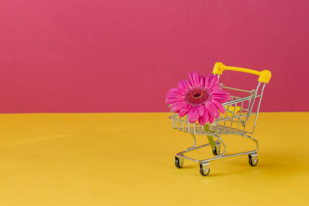 더블 핑크 노란색 배경에 작은 쇼핑 트롤리에 거베라 꽃. 꽃 배달 개념. 판매, 휴일 어머니의 날, 여성의 날, 발렌타인 데이 또는 생일쇼핑. 공간을 복사합니다. - florist supermarket flower bouquet 뉴스 사진 이미지